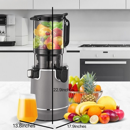 250W Slow Juicer mit 5,3 Zoll breitem Einfüllschacht