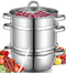 8.5Qt Steam Juicer Extractor for Canning with Glass Lid, Hose, Clamp for Juice, Jams Silver