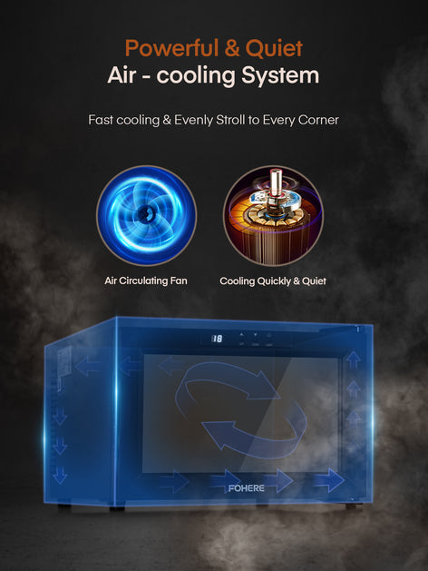 8 Bottles Wine Fridge, Mini Wine Cooler Refrigerator with 61-90℉ Digital Temper Control, Black