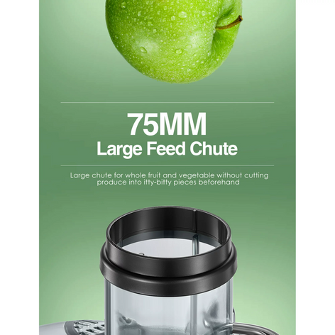 FOHERE Juicer, 1000W Juice Extractor Fruit Vegetable, Stainless Steel