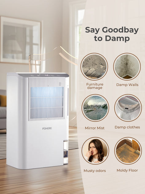 Dehumidifier for Home 2000 Sq.Ft, 85OZ Dehumidifiers for Basement Bedroom Bathroom with Drain Hose, Auto Shut Off, Humidity Display & 7 Color Light